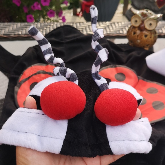 Halloween Dog Costume XL Ladybug 1 Piece Fleece Material See Measurements - Picture 2 of 16
